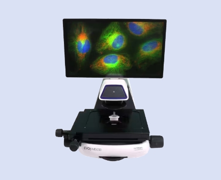 Fluorescent microscopes