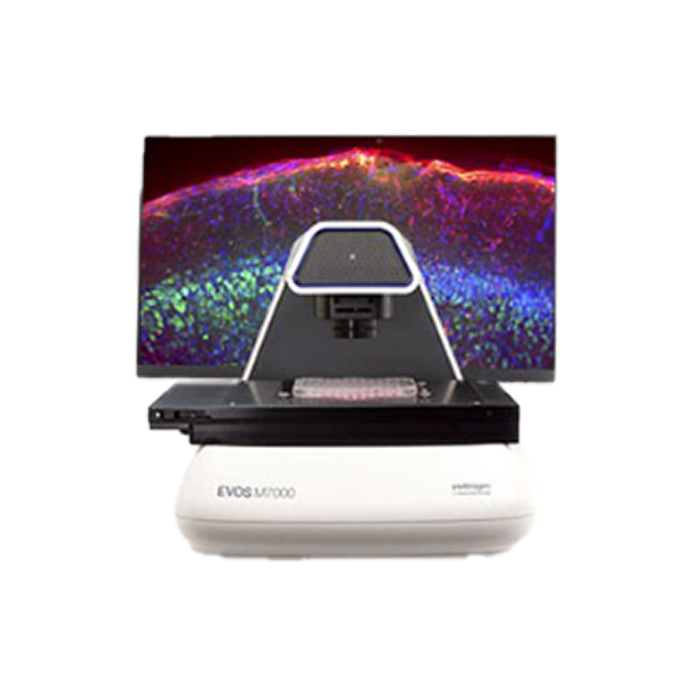 Fluorescence microscope