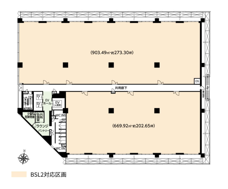 Standard floor plan