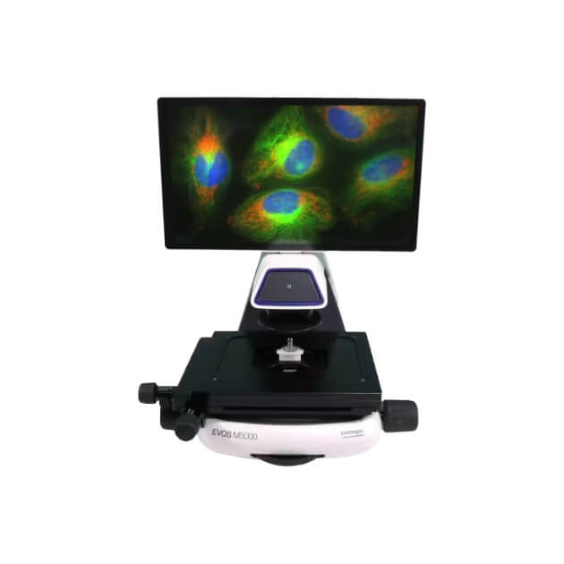 Fluorescent microscopes