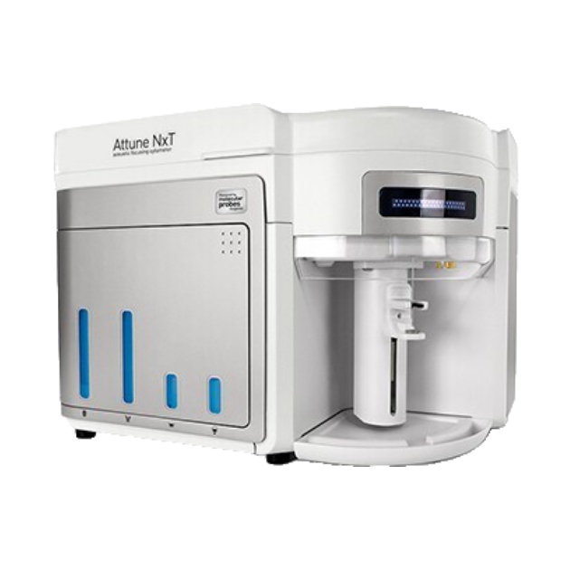 Digital PCR