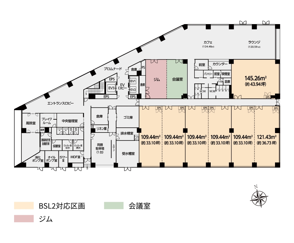 1st floor plan