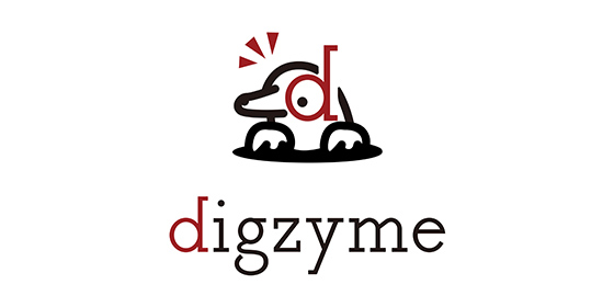 Dizyme Co., Ltd.